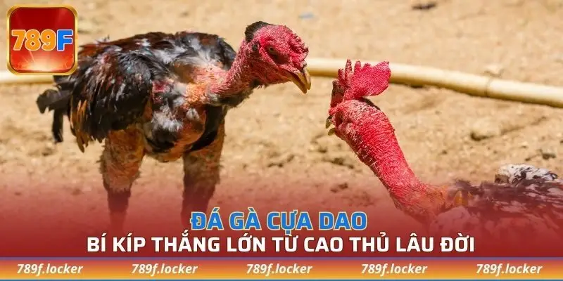 Bí kíp thắng lớn từ cao thủ lâu đời