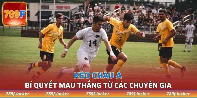 Bí quyết mau thắng từ các chuyên gia