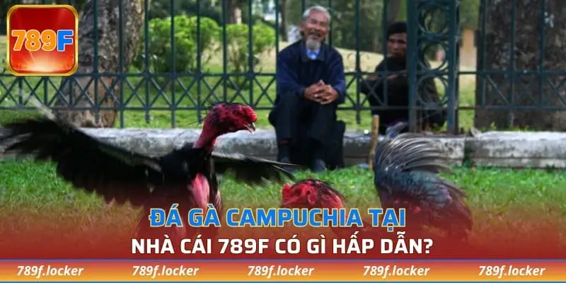 đá gà Campuchia