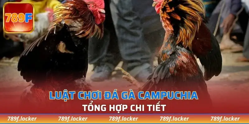 Luật chơi đá gà Campuchia tổng hợp chi tiết