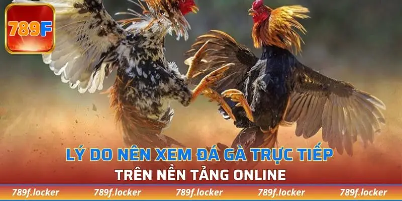 Lý do nên xem đá gà trực tiếp trên nền tảng online