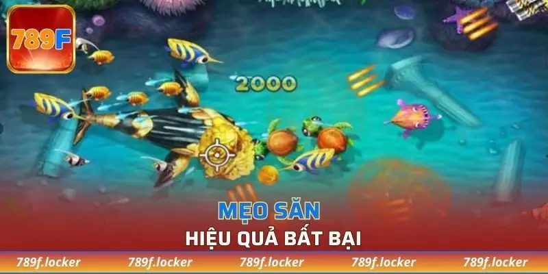 Mỗi loài sinh vật có độ khó hoàn toàn khác nhau