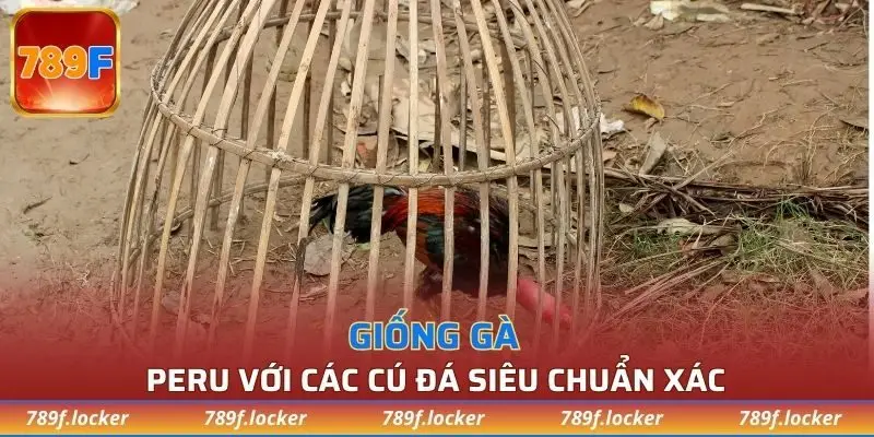 Peru với các cú đá siêu chuẩn xác