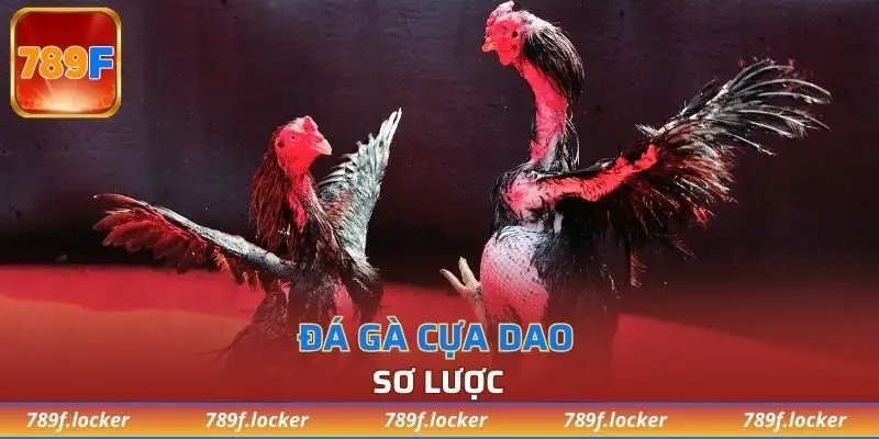 Sơ lược về loại hình đá gà cựa dao