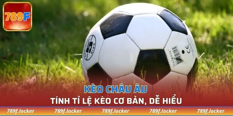 Tính tỉ lệ kèo cơ bản, dễ hiểu