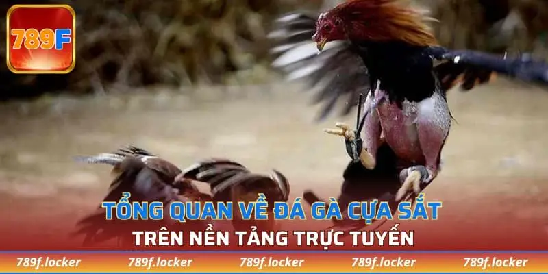 Tổng quan về đá gà cựa sắt trên nền tảng trực tuyến