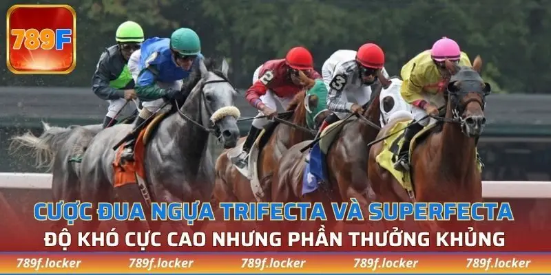 Trifecta và Superfecta có độ khó cao nhưng phần thưởng rất hấp dẫn